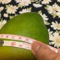 マンゴー🥭の画像