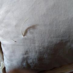 枕　2つの画像