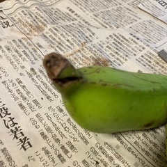 ≪はまゆうの花が咲いてます！≫、うまちーナナ、2.6kg、沖縄南部産の画像