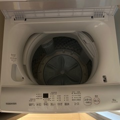 2024年製 東芝 洗濯機の画像
