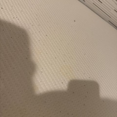 コアラマットレス(シングルサイズ)の画像