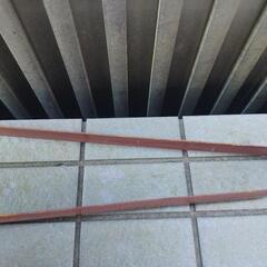 ヒバサミの画像