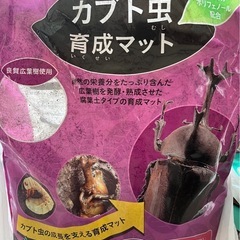 カブト育成セットの画像