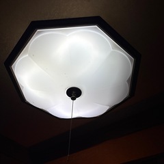 電気の画像