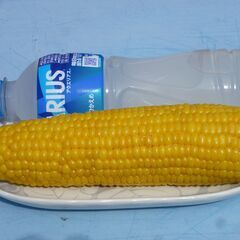 🌽【農家直販】３Ｌ～４Ｌの採れたてとうきび（ゴールドラッシュ）🌽の画像