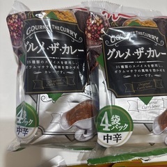 食品　カレー11点セットの画像