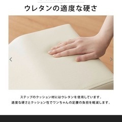 ペットスロープ
の画像