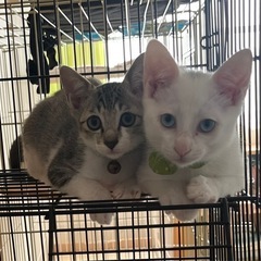 3ヶ月のボーイ👨 − 福岡県
