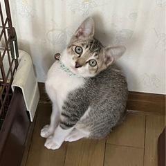 3ヶ月のヤンチャボーイ✦