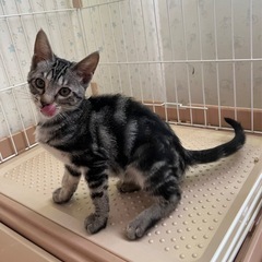 ３ヶ月のレディ✦