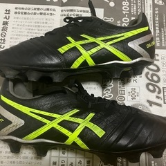 アシックス　DSライト　カンガルー革　28cmの画像