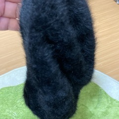 アンゴラ　ベレー帽の画像