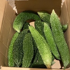 難あり野菜の画像