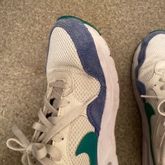 NIKE 25cmの画像
