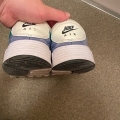 NIKE 25cmの画像