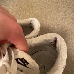 NIKE 25cmの画像