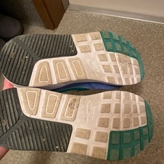 NIKE 25cmの画像