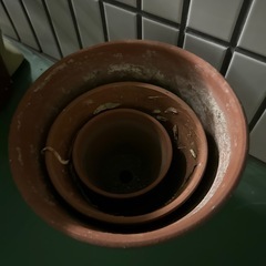 植木鉢　3個あります！の画像