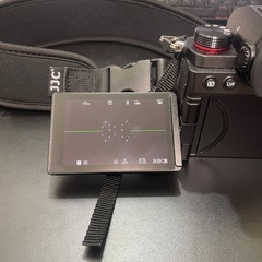 Lumix S5 ボディ　美品の画像