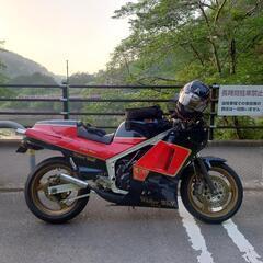 スズキ　SUZUKI RG400ガンマ　Γ　車検R8年1月迄の画像