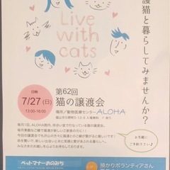 7月27日に福山で保護猫の譲渡会
