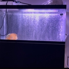 120cmアクリル水槽の画像