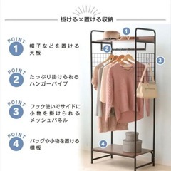 ハンガーラック アイリスオーヤマ　 2WAYタイプ プレミアム メッシュパネル付き の画像