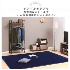 ハンガーラック アイリスオーヤマ　 2WAYタイプ プレミアム メッシュパネル付き の画像