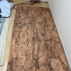 ヨサ　テルスカイザーの画像