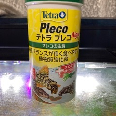 プレコの画像
