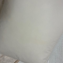 【引取限定】50×70cm フェザー枕の画像