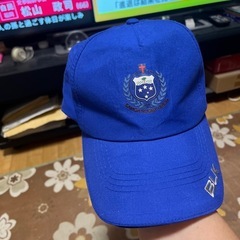 ラグビー帽子の画像