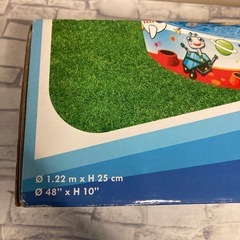 プールの画像