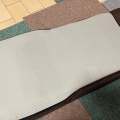 ペットスロープの画像
