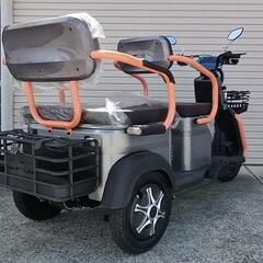 ev３輪車 電動トライクの画像