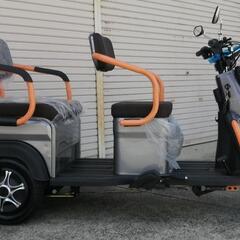 ev３輪車 電動トライクの画像