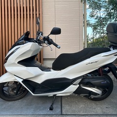 売れましたの画像