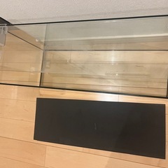 tetraテトラ水槽の画像