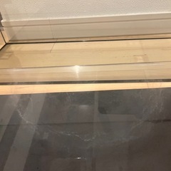 tetraテトラ水槽の画像