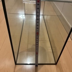 tetraテトラ水槽の画像