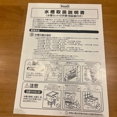 tetraテトラ水槽の画像