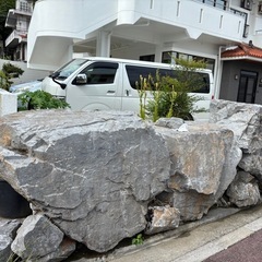 　庭石　本部石の画像