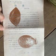 【未使用】茶碗、茶器、庄左ヱ門、信楽焼の画像