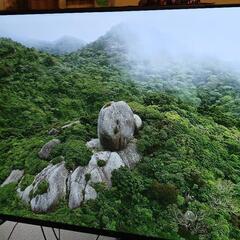 55型4Kチューナーレス液晶テレビ（FPD CG55-C2 2024年モデル）の画像