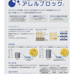 スミノエ　最高級シャギーラグ　ネオグラス　の画像