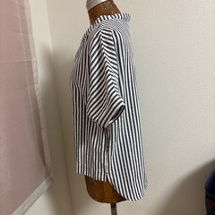ﾚﾃﾞｨｰｽ 半袖の画像