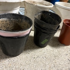 プランターとポットの画像