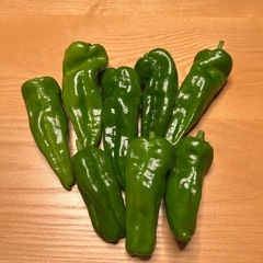 愛知県産　農薬不使用　夏野菜の画像