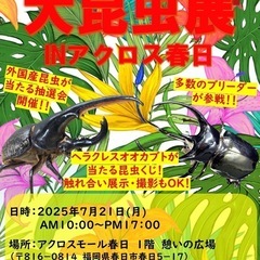 アクロスモール春日　クワカブ販売会