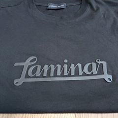 ヘルノ　ラミナー　半袖Tシャツ　黒色　44 Sサイズ　HERNOの画像